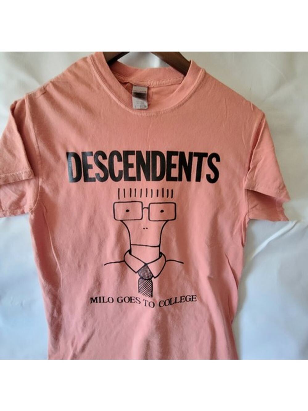 the Descendents  band t shirt  small salmon